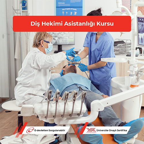 Diş Hekimi Asistanlığı Kursu