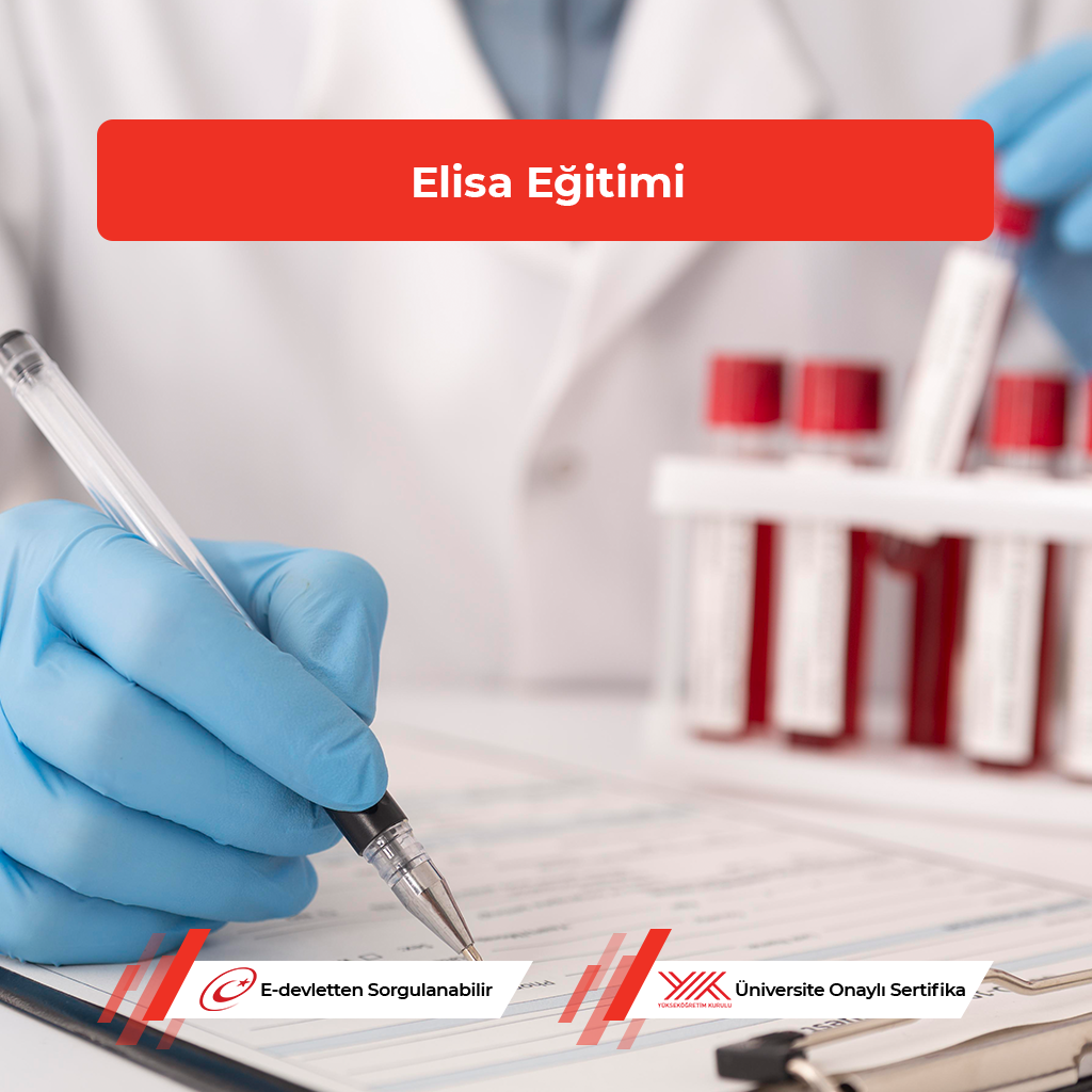 Elisa Eğitimi