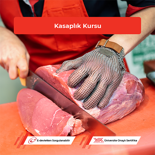 Kasaplık Kursu