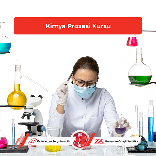 Kimya Prosesi Kursu