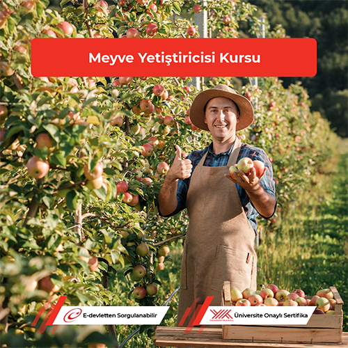 Meyve Yetiştiricisi Kursu