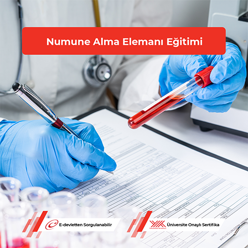 Numune Alma Elemanı Kursu