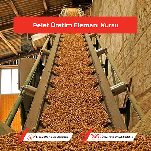 Pelet Üretim Elemanı Kursu