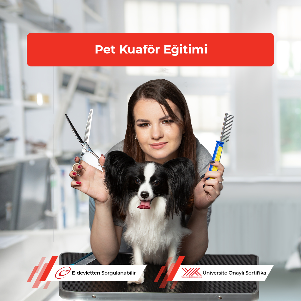 Pet Kuaför Eğitimi