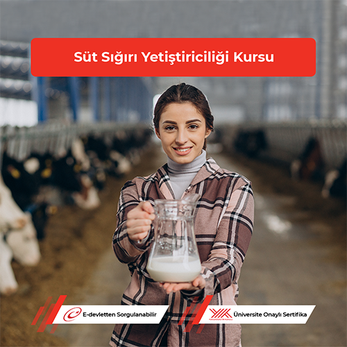 Süt Sığırı Yetiştiriciliği Kursu