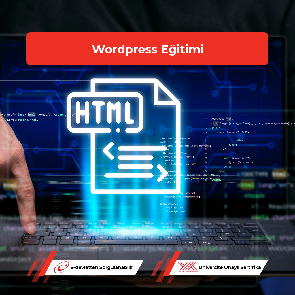 Wordpress Eğitimi