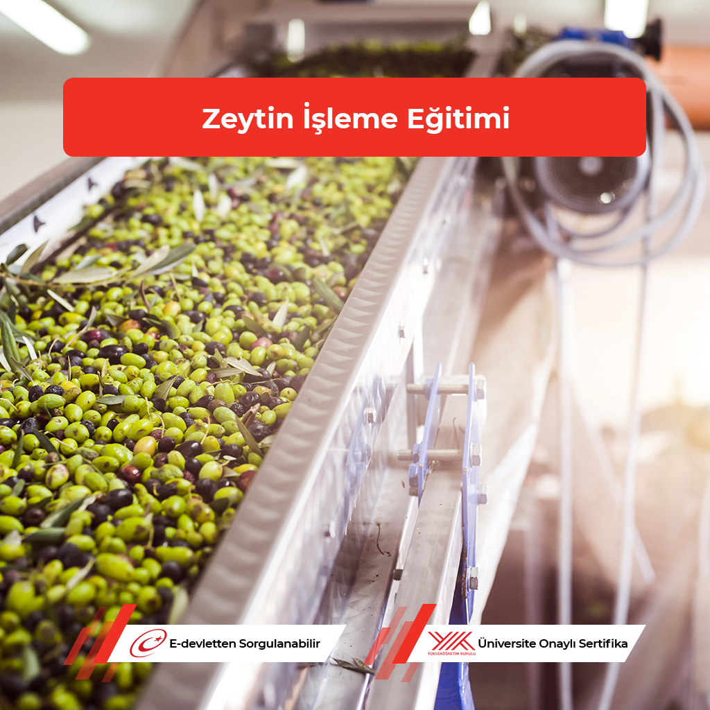 Zeytin İşleme Elemanı Kursu